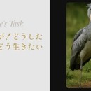 自死は大罪！自分軸で唯一無二の人生を輝いて生きる🌟の講座の風景