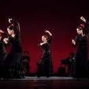 50代からの大人フラメンコの講座の風景