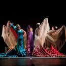 50代からの大人フラメンコの講座の風景