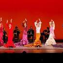 50代からの大人フラメンコの講座の風景