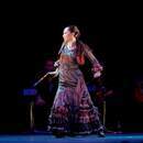 50代からの大人フラメンコの講座の風景