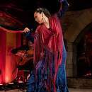 50代からの大人フラメンコの講座の風景