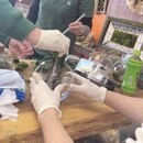 ガラスの中に広がる小さな森。自然の安らぎと潤いを。の講座の風景