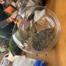 ガラスの中に広がる小さな森。自然の安らぎと潤いを。の講座の風景