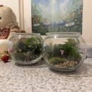 ガラスの中に広がる小さな森。自然の安らぎと潤いを。の講座の風景