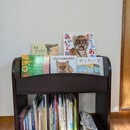 こどもの気持ちと笑顔お届け！モンテッソーリ教師の講座の風景