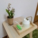 こどもの気持ちと笑顔お届け！モンテッソーリ教師の講座の風景