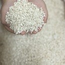 全メニュー無添加！\初心者のための麹の始め方/の講座の風景