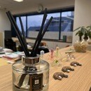 看護医療系専門進学塾桜芽会の開催する講座の風景