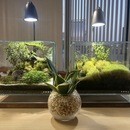 看護医療系専門進学塾桜芽会の開催する講座の風景