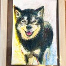 動物アートで童心にかえる「大人の図工時間」の講座の風景