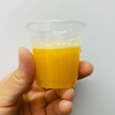 ３日で完成！無毒化した食材で作る波動酵素ドリンクの講座の風景