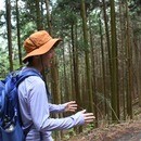 五感から整う森林セラピー&マインドフルネスワークの講座の風景