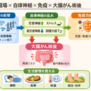 日常を整えることで、心と体の安心感を取り戻す。の講座の風景