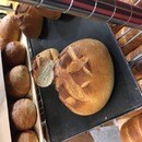 あなたの知らないミクロの世界に誘います。の講座の風景