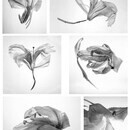 フォトグラファー森星象の写真講座の講座の風景