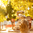 階段を丁寧にのぼるの講座の風景