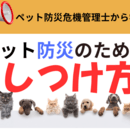 在宅起業AI✕ZOOM活用コーチングプランナーの講座の風景