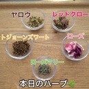 自分を慈しみ運氣に乗る星を読み香りを纏う大人の智慧の講座の風景