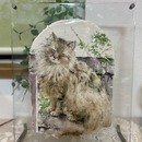 絵付けを楽しむ時間は生活に彩りを与えてくれます。の講座の風景