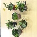 Kirschblüte（キルシュブリューテ）の講座の風景