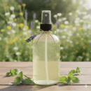 快適な生活に役立つハーブの活用の講座の風景