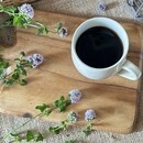 快適な生活に役立つハーブの活用の講座の風景