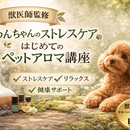ペットと一緒にアロマで心のケア！の講座の風景