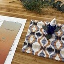 心のケア法『フラワーエッセンス🌷』の学びと体験会の講座の風景