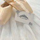 M verite Balletの開催する講座の風景