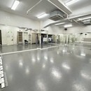 M verite Balletの開催する講座の風景