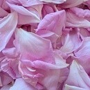 私を大切にする自然療法＆魅力開花のセルフケア研究家の講座の風景