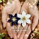 世界に一つだけの花をあなたの指先から咲かせましょうの講座の風景
