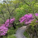 体を動かすキッカケづくり　山歩きインストラクターの講座の風景