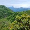 体を動かすキッカケづくり　山歩きインストラクターの講座の風景