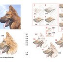 色鉛筆は少しづつ丁寧に描くことで、誰でも描けますの講座の風景