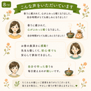 心に寄り添う手づくりお香教室　香会（こうえ）の講座の風景