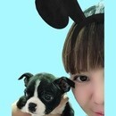 犬猫？なにが違うの？？の講座の風景