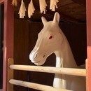 視えない力は存在しますの講座の風景
