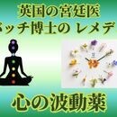神業タロット幸福術伝導学院の講座の風景