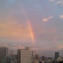 一般社団法人　日本免疫カウンセリング協会の開催する講座の風景