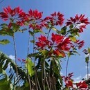 開運体質に変身！言葉と吉方位旅行で幸せづくり応援！の講座の風景