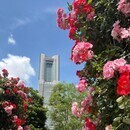開運体質に変身！言葉と吉方位旅行で幸せづくり応援！の講座の風景