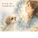 50代女性の『自信』を育てる💖一歩を支える介護職✨の講座の風景