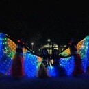 はじめてでも楽しく踊れる大人のためのベリーダンスの講座の風景