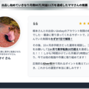 ㊙放置しても売上が300万上がる仕組み㊙の講座の風景