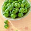 好きなことを 生涯続けられる カラダづくり食事改善の講座の風景