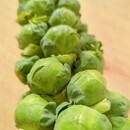 好きなことを 生涯続けられる カラダづくり食事改善の講座の風景