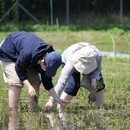 学びと食、人の根本を真剣に向き合う講師の講座の風景