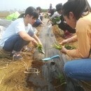 学びと食、人の根本を真剣に向き合う講師の講座の風景